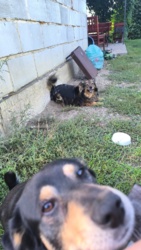 77c3ac83-4aff-495d-972c-c0203486513b