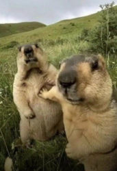 ac4a3521-0e55-4e44-8685-8ce6ff837070