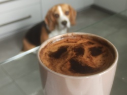 acecb3e1-d96b-4bf9-a693-f68430f95b95