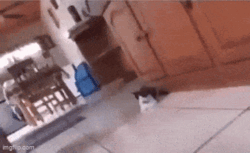 6cc6ed80-0452-4456-97ed-17666b919050