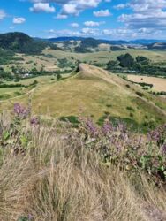 59b953fe-8b53-4a4f-9214-1ba4a1d7e86b