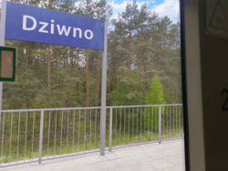 bdfef83a-3077-48bc-9a27-6e67911fcfe0