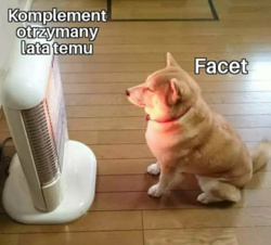 1ed5edf5-e035-4104-ab4e-88001d174673