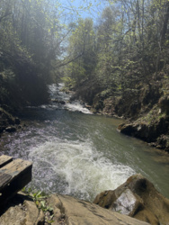 076b7a1d-5a2c-4b3d-8fe2-a2b3a23548d2