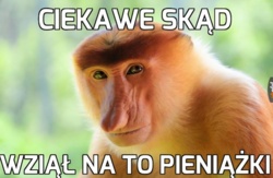 126131ea-360c-4d02-b441-8fdb4fab3283