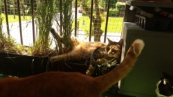 b1490120-fcc1-4f98-85cc-019dce5d8bce