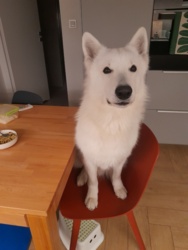 2df8d070-b4e1-454f-85eb-804d8f2488fd