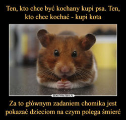 f963a32c-1231-4654-b50d-8e0b246f727f