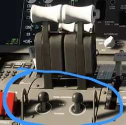 9e6a77fc-f0d0-49d4-a363-1c956433f5f1