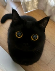 1d3e3f91-582c-4ae3-ba6b-a086baad6405