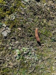 f3f6d340-2e05-4b36-a513-377527548448