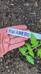 aca50fba-20a6-44b0-a10d-4cfb1dce579b