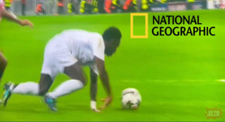 58055bf9-4f48-44b0-a29d-1c8e5c853a28