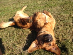 e709e422-01a6-45ec-92c2-30b3b160a936