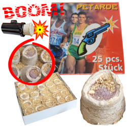 4ebede21-8218-4e41-b724-b7ec0d07a902