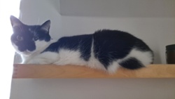 3af80e8f-bcb8-4cc4-a854-8cb7ff5a424e