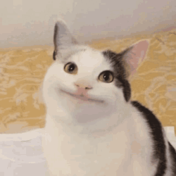 aca6d936-226d-4254-90a0-3c78cfcb8dbc