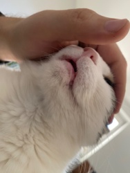 3d531453-8739-4a70-b8fb-1886aeb87cf0