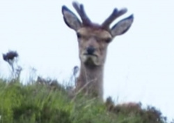 b778a1c8-514f-4e36-8e0a-caa2b0e653da