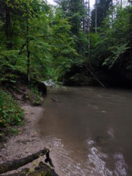 8b233629-5e67-498c-ab68-bd48341ee0dc