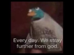 342a29b1-f10b-4607-9cc6-1365bb12b1c4