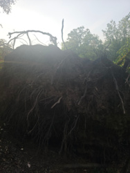 2992cdaf-b550-4ece-8de6-a2dc6dedd31c