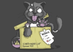 3b9db02f-c3d7-44a5-9688-61dbfabba493