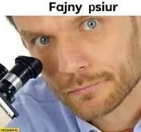 9af66046-de02-42e3-b102-c763eba88061