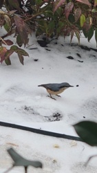 ed738141-dbc3-4128-a32d-98a2c864ac59