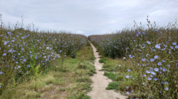 71ee58d3-2f1f-4e50-9680-7392b8e99d0d