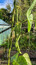 0ab852ba-9106-4b8c-ace2-142909de8bcb