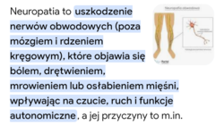 bdc8447d-f29c-48d7-ab5a-bc7994a1eb1b