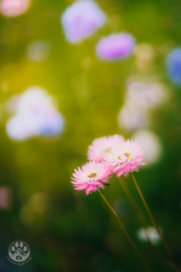 c7e81aa2-8692-4567-93b8-22bd26844104