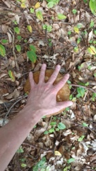 2a09b163-2140-4276-89ee-3dbf5d0a706a