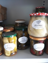 b4edf9f4-092a-4648-8a69-d6868fa19e96