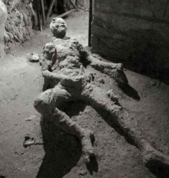 7a8108b8-f436-43c6-8d31-66c58aa1f546