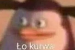 7790532f-bbe9-4e69-8091-873f199792d1