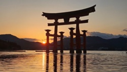 458f0dc8-5565-4f41-8810-248ca0d55544