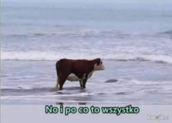 86912929-1216-4167-b208-a1433cc3f77d