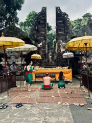 c1faf4e7-b35f-4a4a-95a8-b081132f0e19