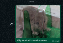 7c265ff6-2a2f-4806-b785-03bc8af53f35