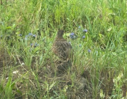 66423557-6b7f-4022-b357-e77f05320baa