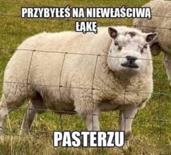 2107d87f-c98a-4a4b-928a-a47fe994a088