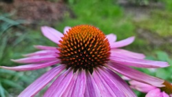 cfe59213-b562-4e91-aae1-63ac6f747dd3