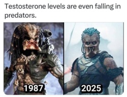 38d93fa6-4769-494c-af8a-c80400ceaf58