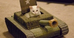 6f65ad97-bb7e-4f49-8a70-2ddbf3a2ede8