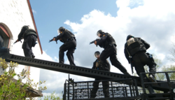 e84ba8cb-030d-4d4d-87ac-67a1ad0e4c33