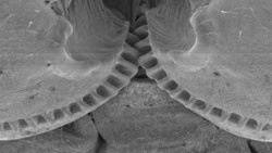 4625f915-8190-4b8a-a2d4-971d57858700