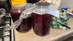 79519d1a-3bc2-4755-a3f1-e6e21d81f149