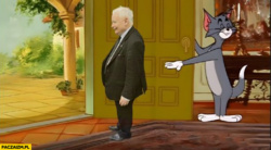 8883a158-4fa4-45f0-b027-53d74ad30ffb